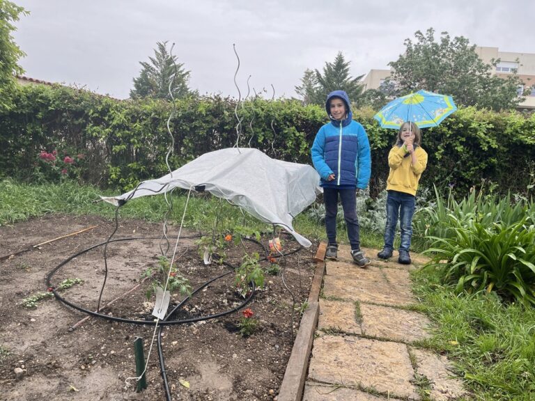 Serre improvisée de dernière minute
