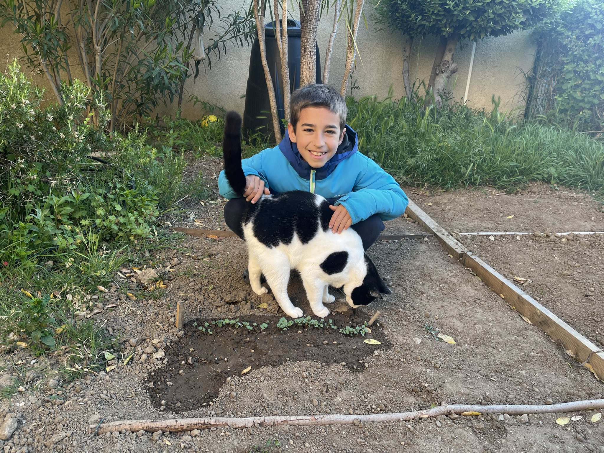 Les radis pointent le bout de leurs feuilles !