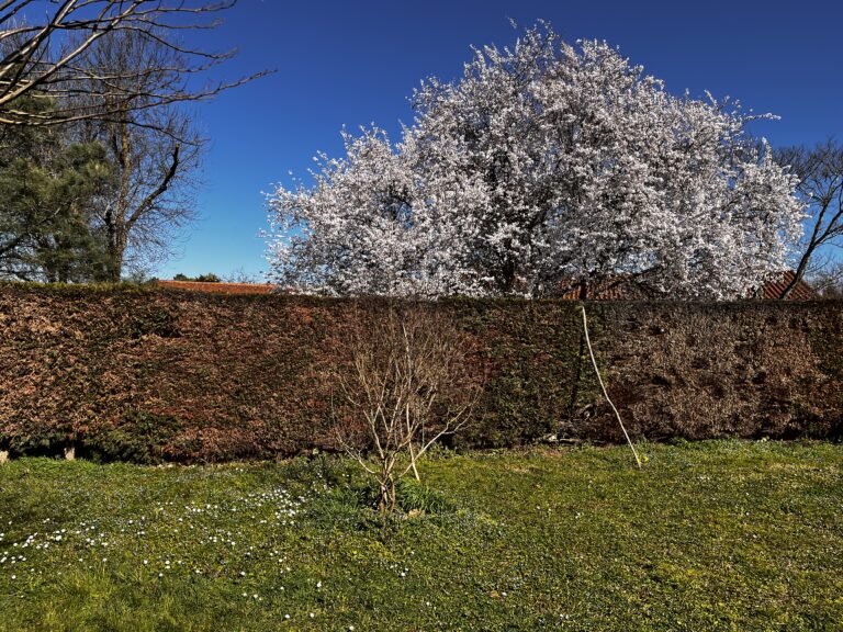 Préparation du potager – Saison 2