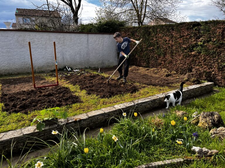 Premières plantations