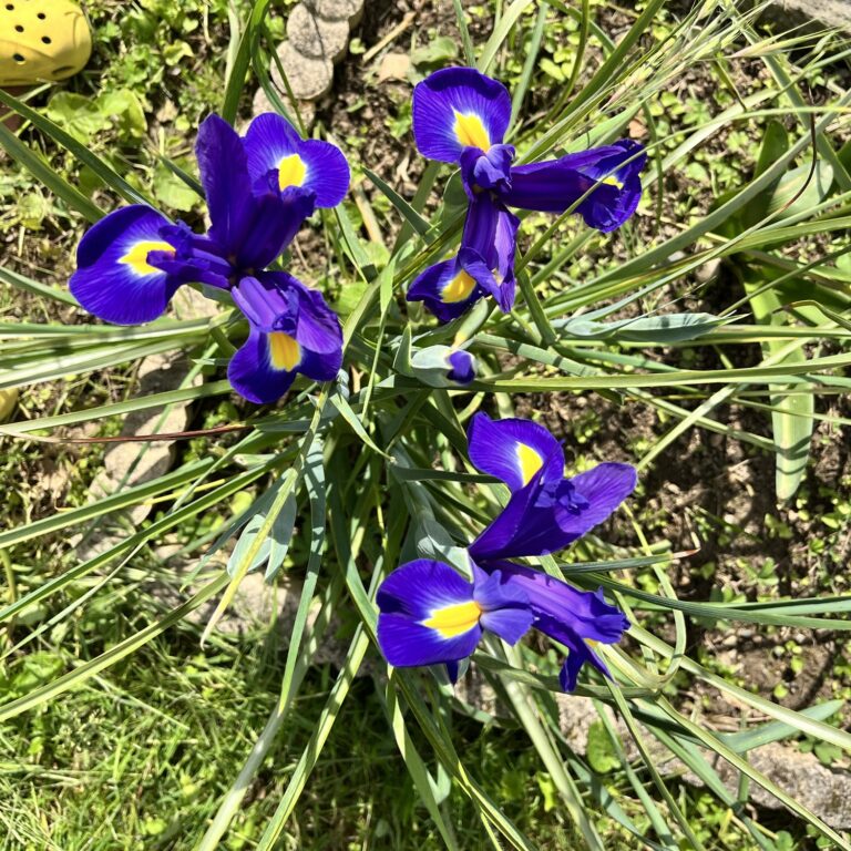 Le soleil est de retour