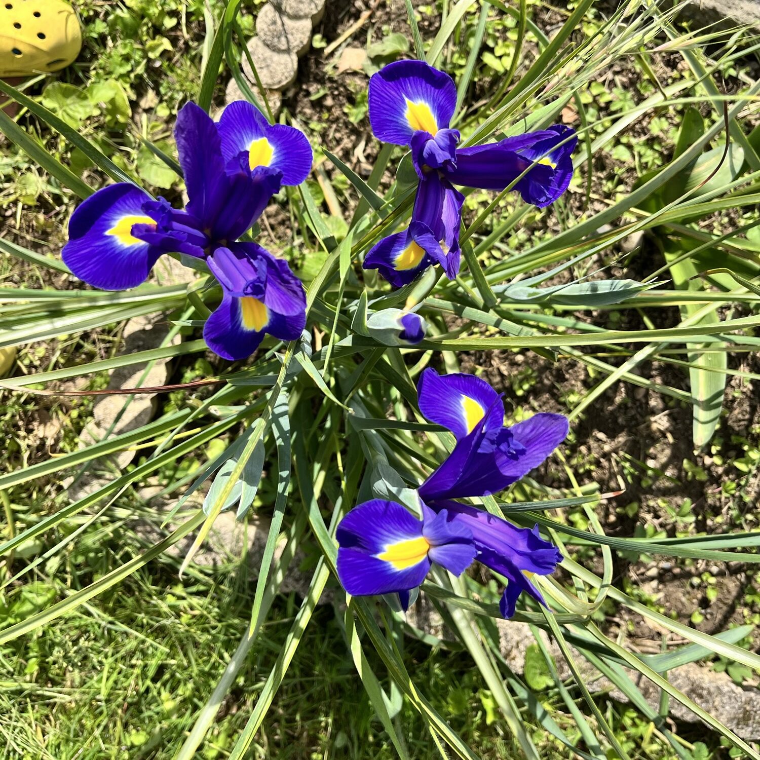 Le soleil est de retour