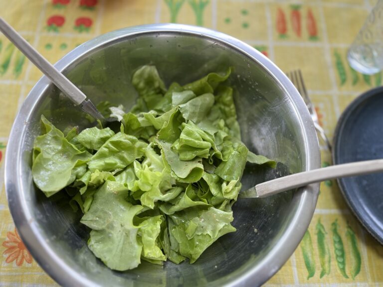 Première salade du jardin
